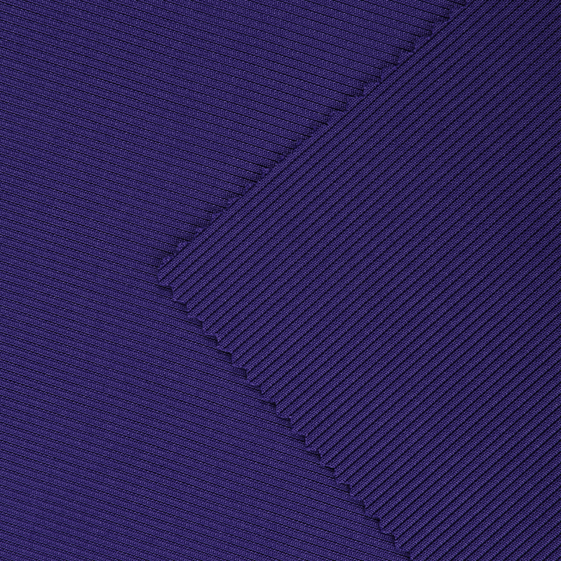 DTY Span 2*2 Rib Fabric