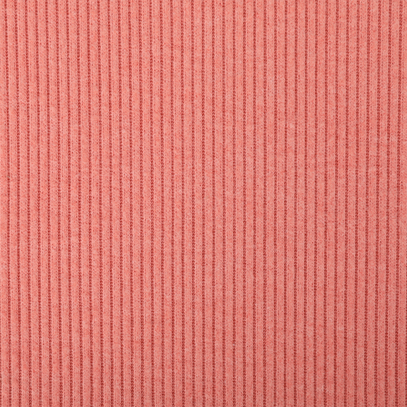 Polyester Rayon Span 2*2 Rib Two Sides Fleece Fabric