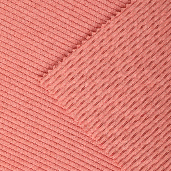 Polyester Rayon Span 2*2 Rib Two Sides Fleece Fabric