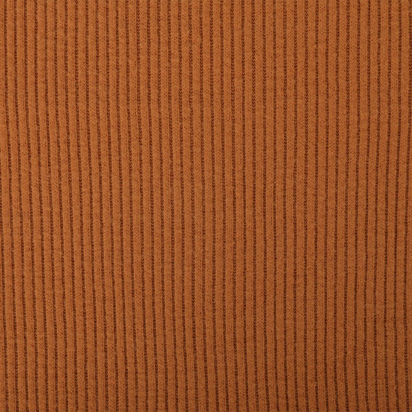 Polyester Rayon Span 2*2 Rib Double Sides Fleece Fabric