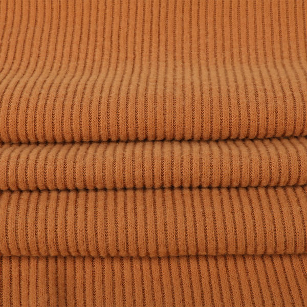 Polyester Rayon Span 2*2 Rib Double Sides Fleece Fabric