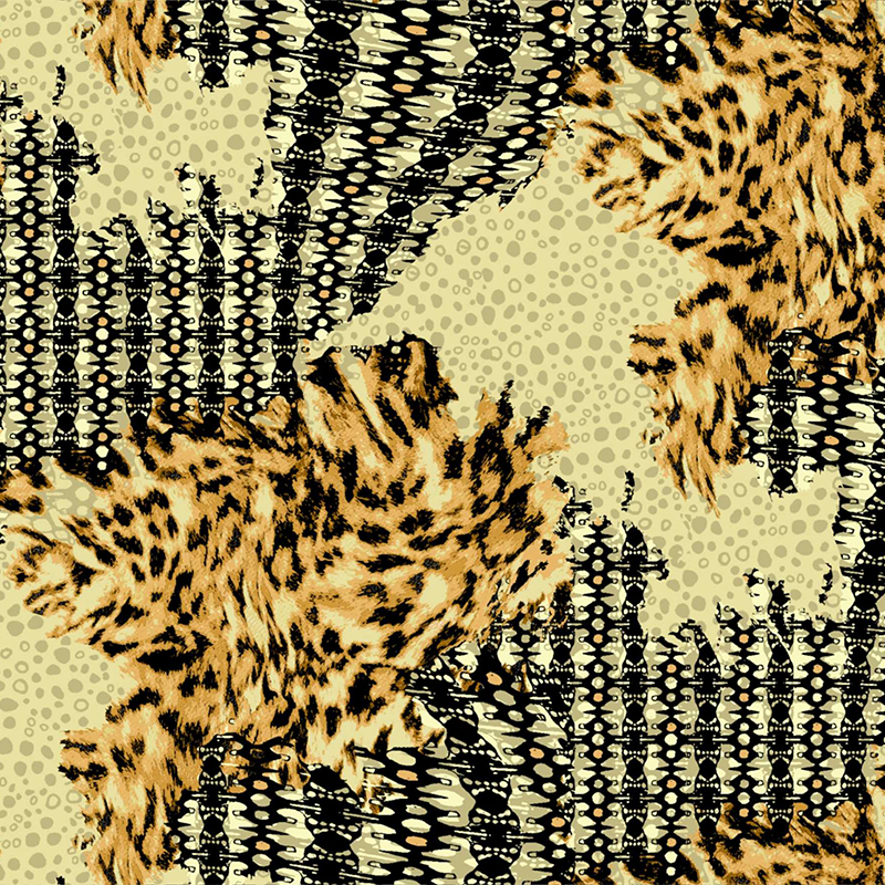 X-C8HJB6T1