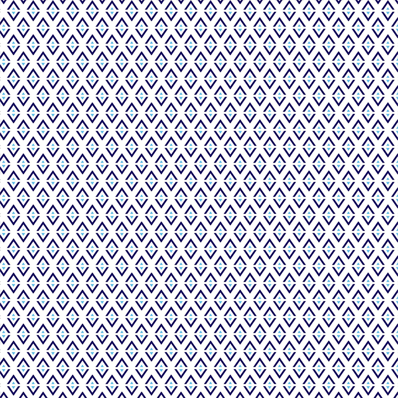 Xsk1966-2